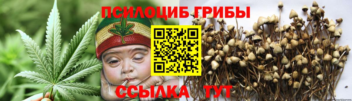 Галлюциногенные грибы MAGIC MUSHROOMS Коломна
